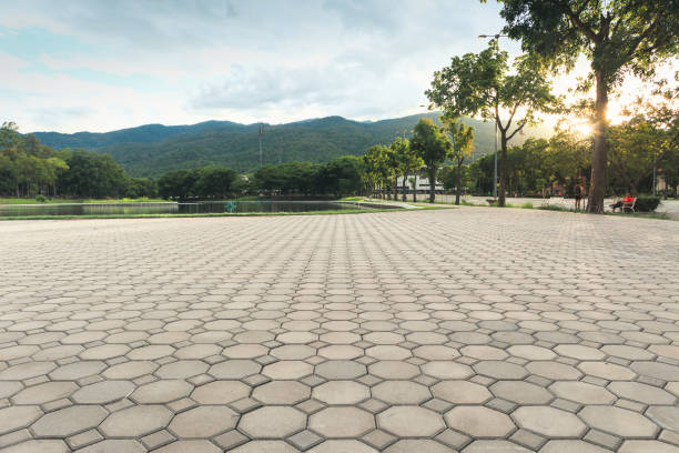 Best Driveway Repair Near Me  in Passapatanzy, VA